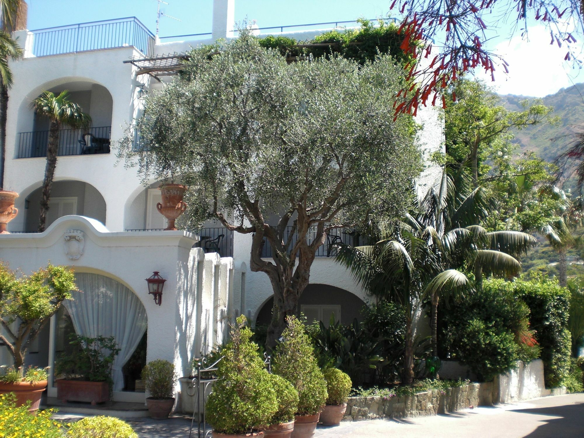 Hotel Parco Maria Terme Forio di Ischia Eksteriør bilde