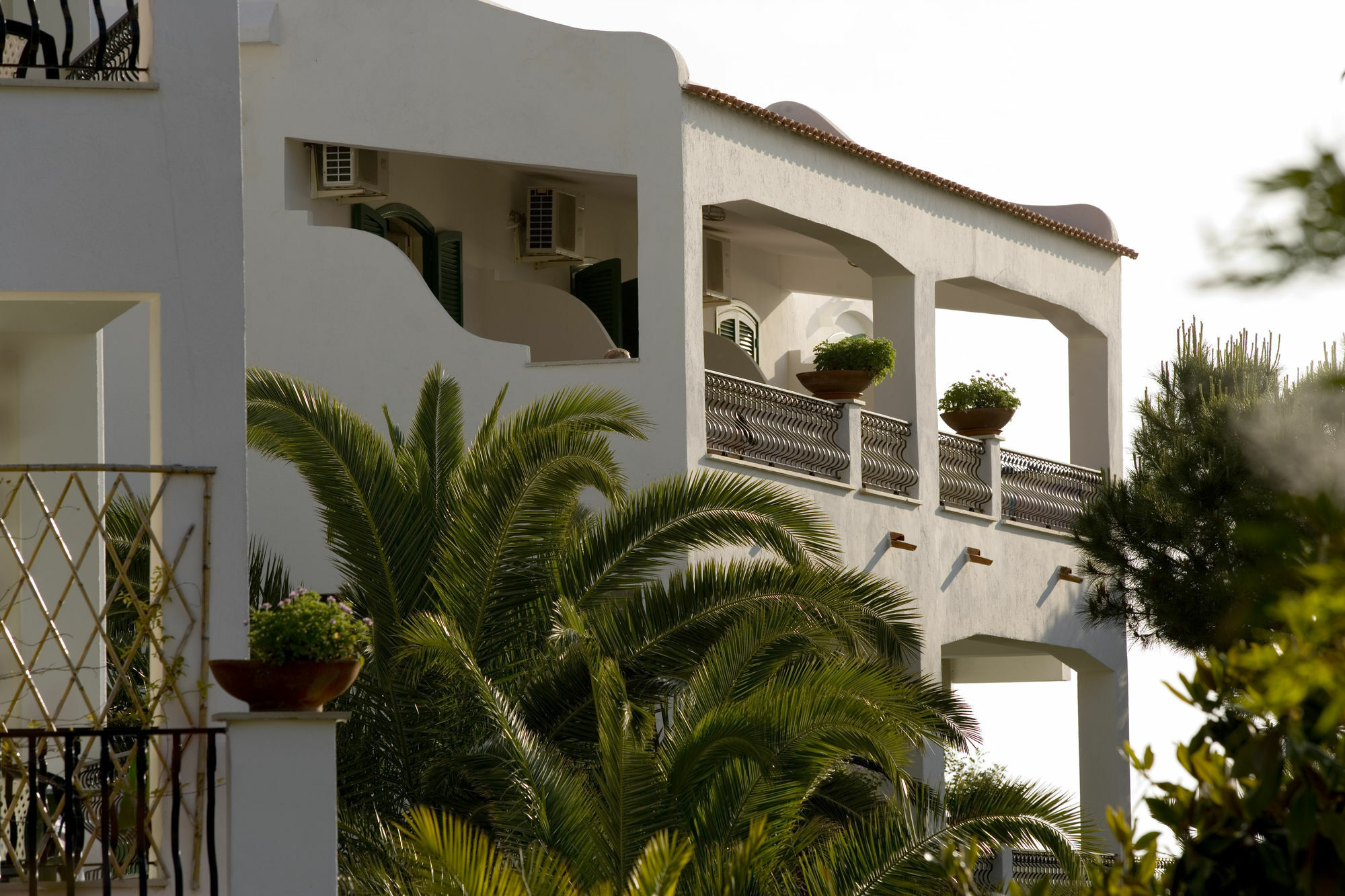 Hotel Parco Maria Terme Forio di Ischia Eksteriør bilde